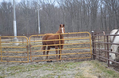 Property photo 62 - REAL ESTATE & FARM EQUIPMENT AUCTION IN ALLEN COUNTY, INDIANA